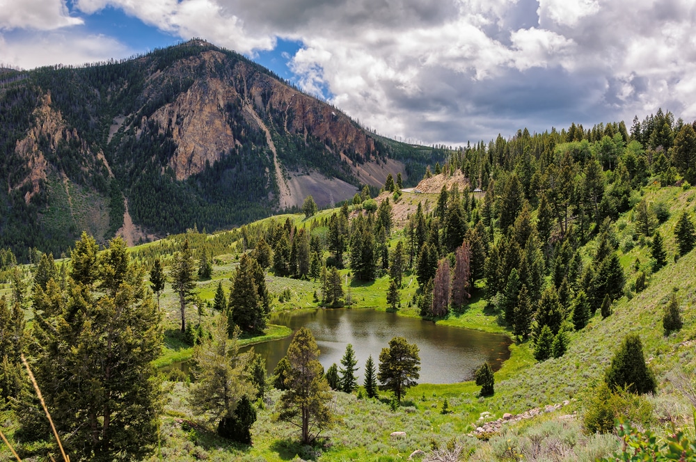 Yellowstone,National,Park