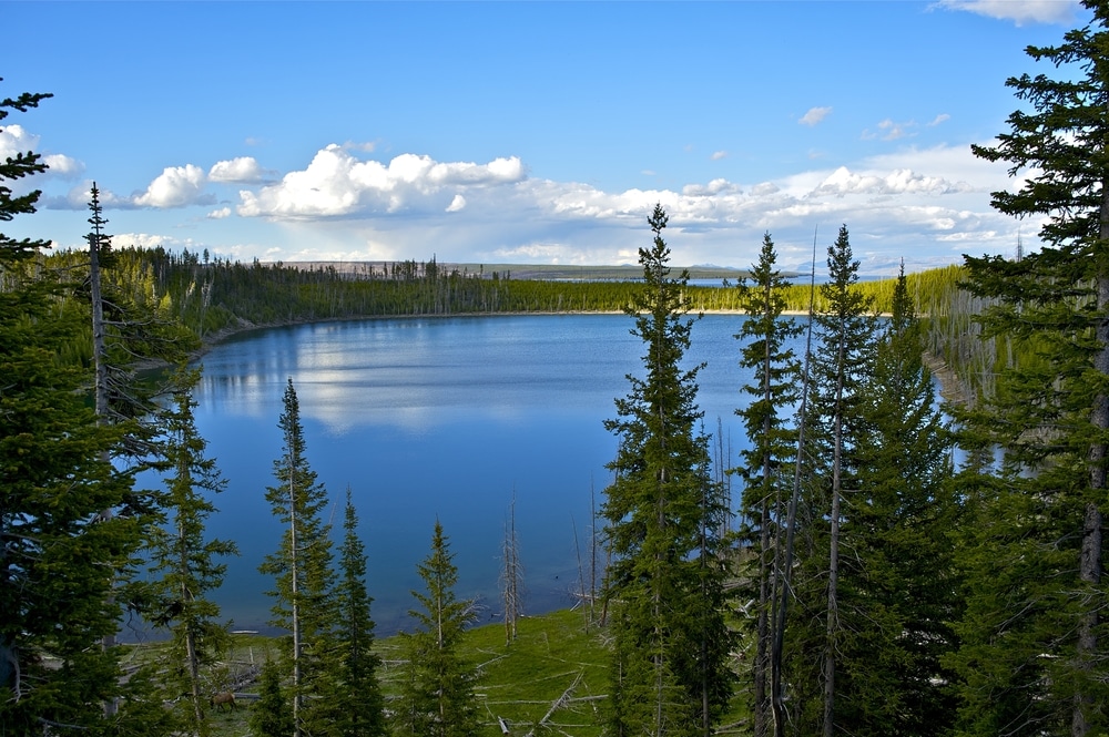 Yellowstone,Lake,In,Yellowstone,National,Park,,Wyoming,,Usa.,Nature,Photo