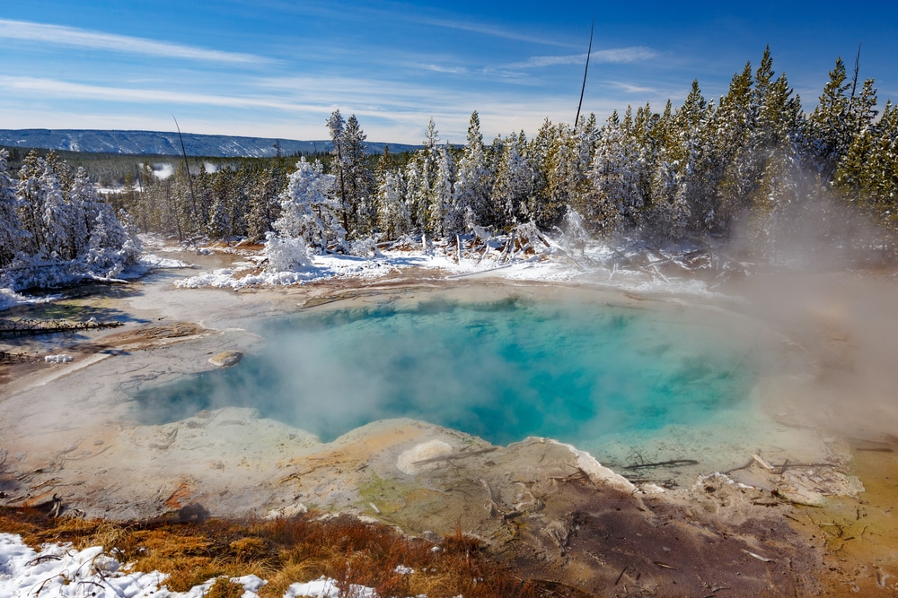 Emerald,Spring,At,Norris,Geyser,Basin,Trail,Area,,During,Winter