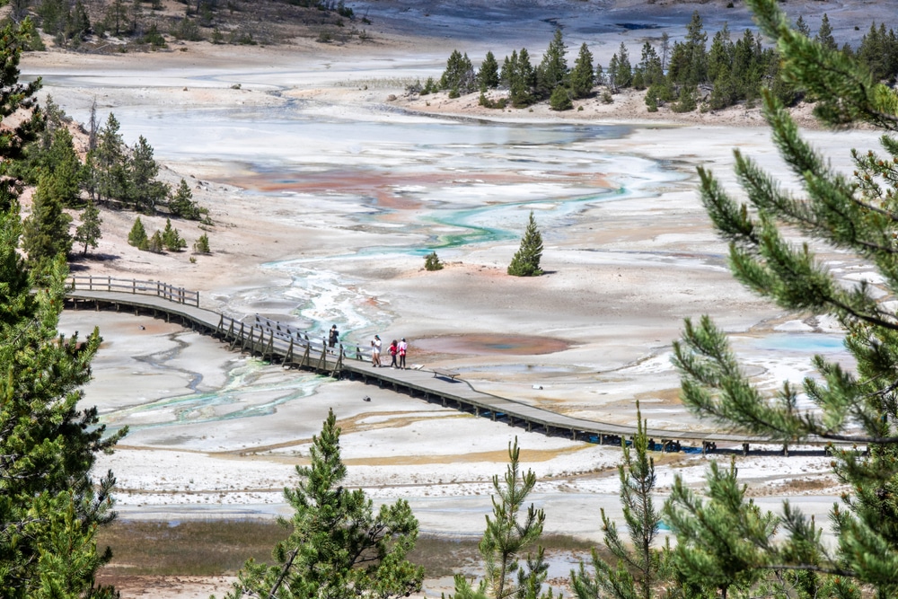 View,Of,Norris,Geyser,Basin,At,Yellowstone,,Wyoming,,Usa