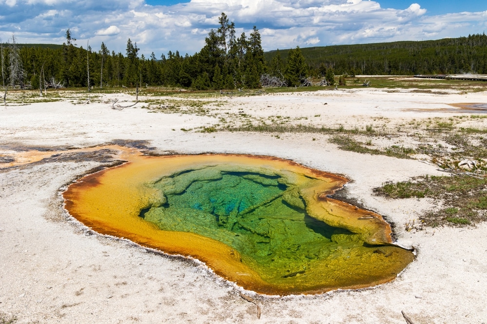 West,Geyser,In,Yellowstone's,Biscuit,Basin,,Yellowstone,National,Park,,Wyoming,