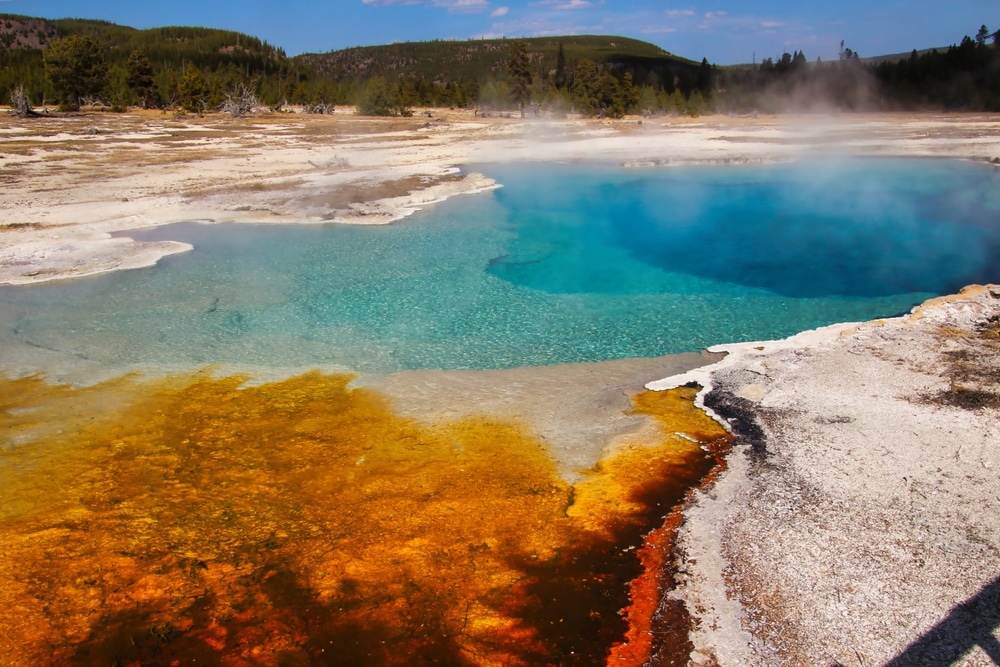 Spectacular,Sapphire,Pool,In,Biscuit,Basin,In,Upper,Geyser,Basin,