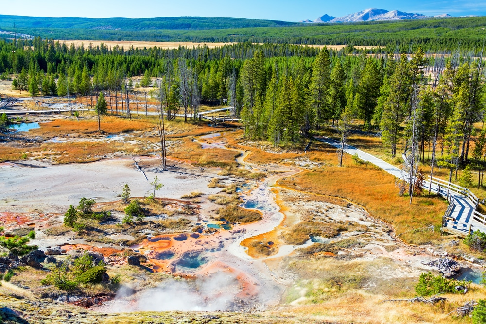 Landscape,View,Of,Norris,Geyser,Basin,In,Yellowstone,National,Park