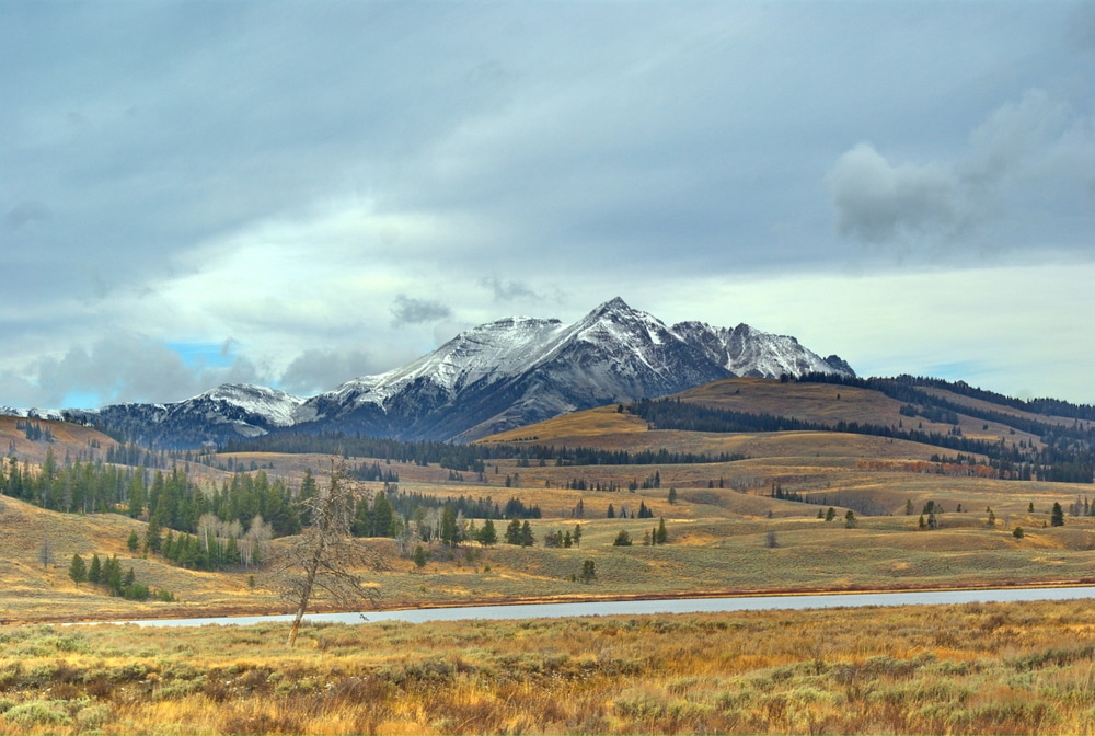 Mount,Washburn,,Yellowstone,National,Park