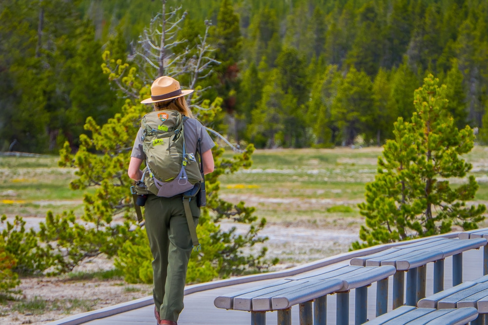 Yellowstone,,Montana,,Usa,May,24,,2018:,Outdoor,View,Of,Female