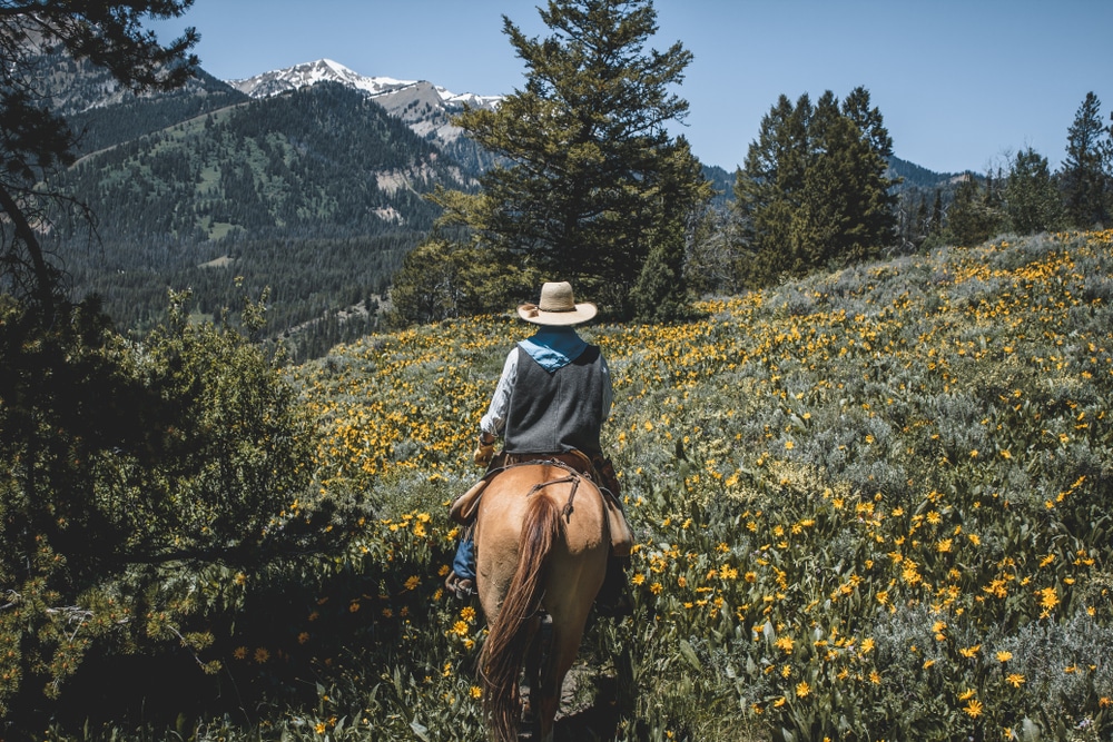 Horseback,Riding,In,The,Grand,Teton,Mountain,Range.