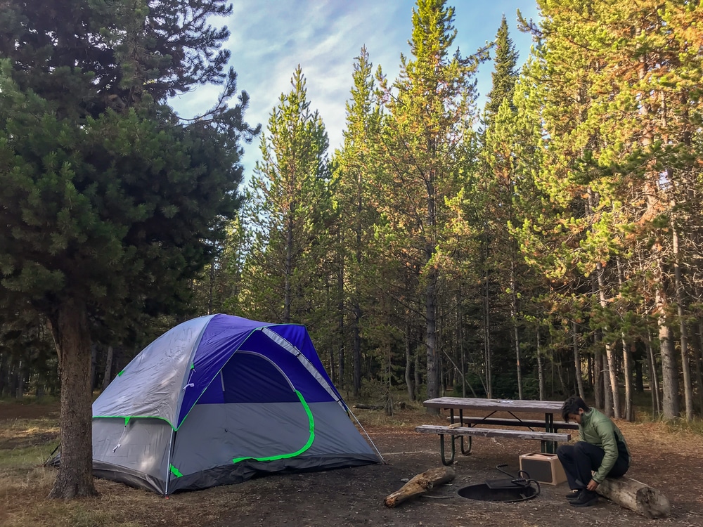 Man,Sitting,Next,To,Campfire,And,Tent,At,Evening.,Enjoying