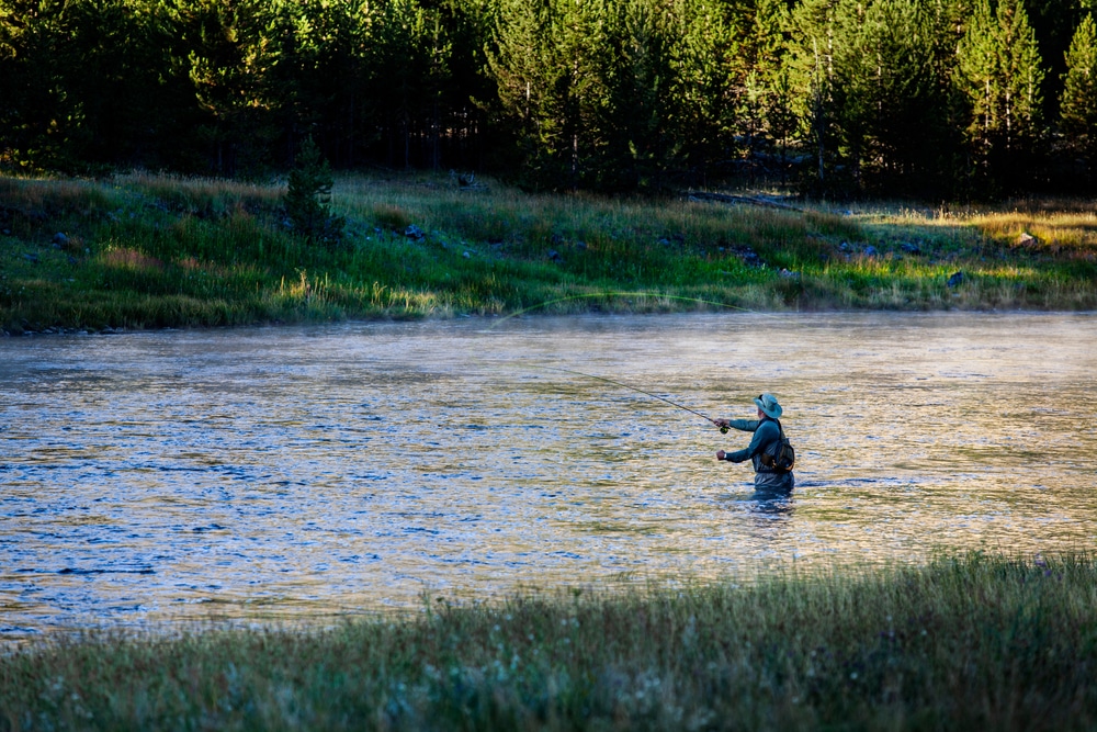 Yellowstone,National,Park,,Wy,-,October,5,,2020:,Fly,Fishing