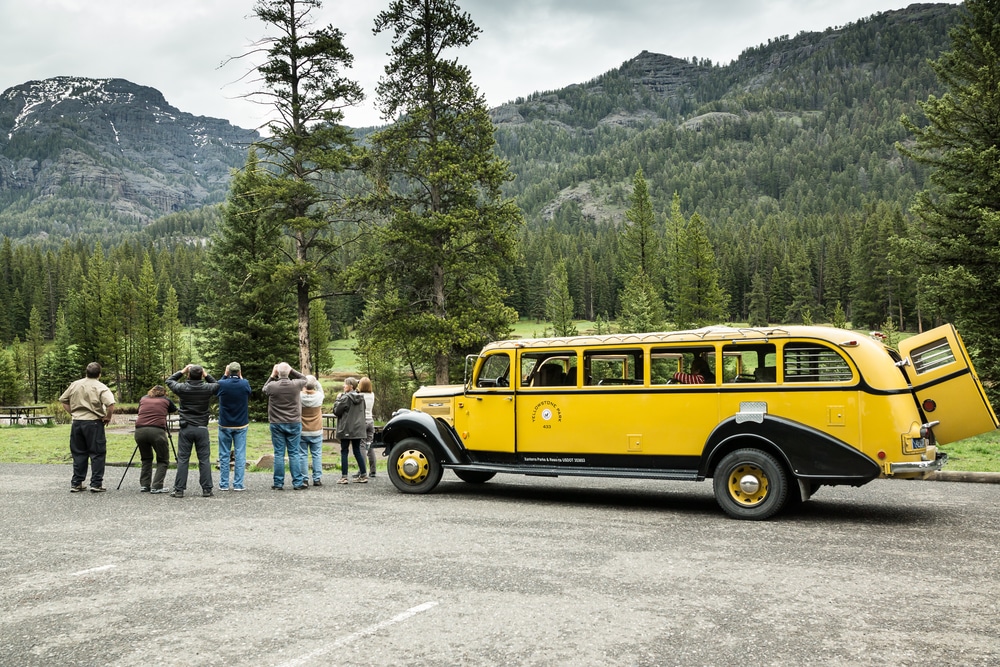 Yellowstone,National,Park,-,May,31,,2015:,Early,Season,Visitors