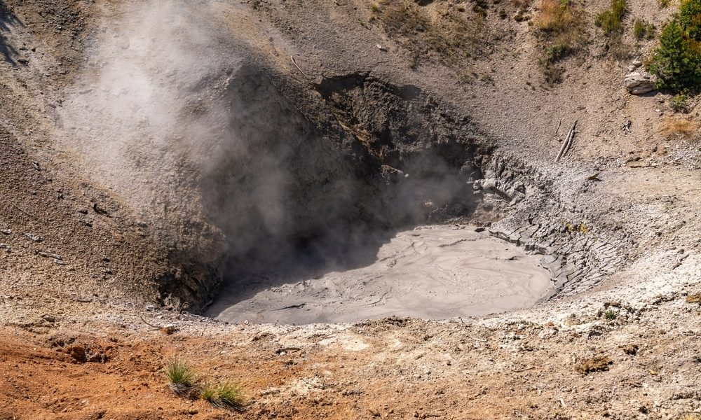 Grizzly,Fumarole,,Mud,Volcano,Thermal,Area,,Yellowstone,National,Park.