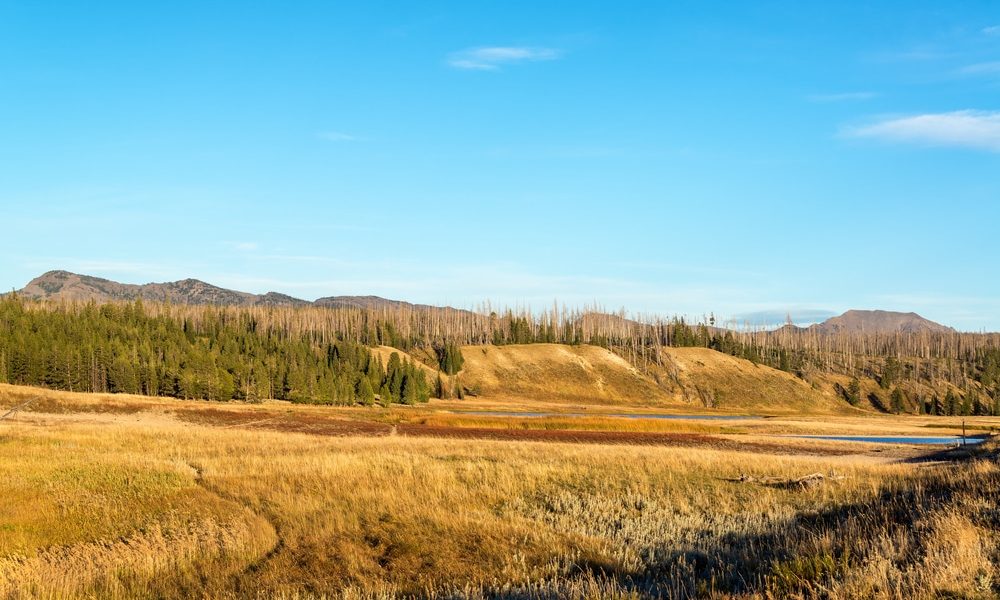 Pelican,Valley,Landscape,View,At,Yellowstone,National,Park,In,Wyoming,